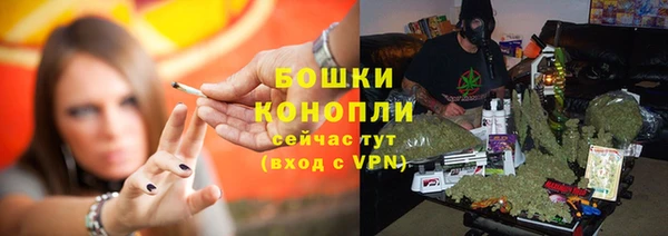 ешки Дмитровск