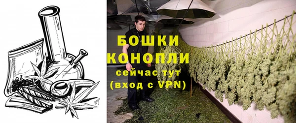 ешки Дмитровск