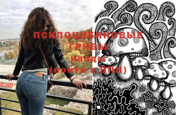 ешки Дмитровск